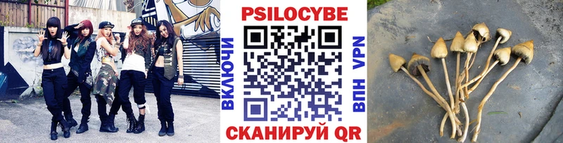 Галлюциногенные грибы Psilocybe Фёдоровский